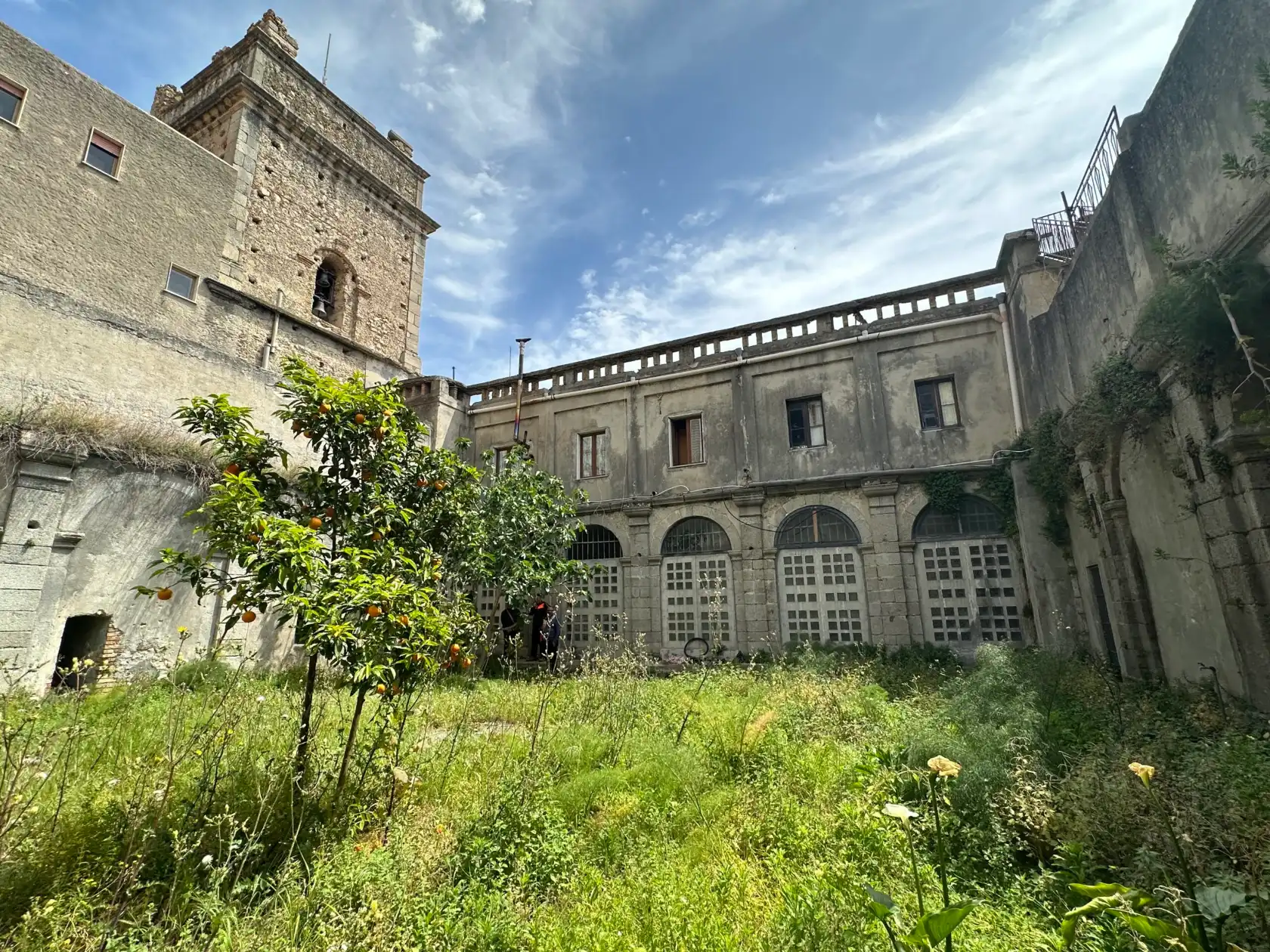 Il chiostro dell'ex Monastero di San Francesco a Stilo, con il prato, un albero di agrumi e il campanile