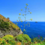 Torre cinquecentesca sul costone di un fiordo, con il mare e gli isolotti di fronte