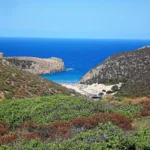 La cala con la torre