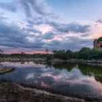 La torre nella pineta