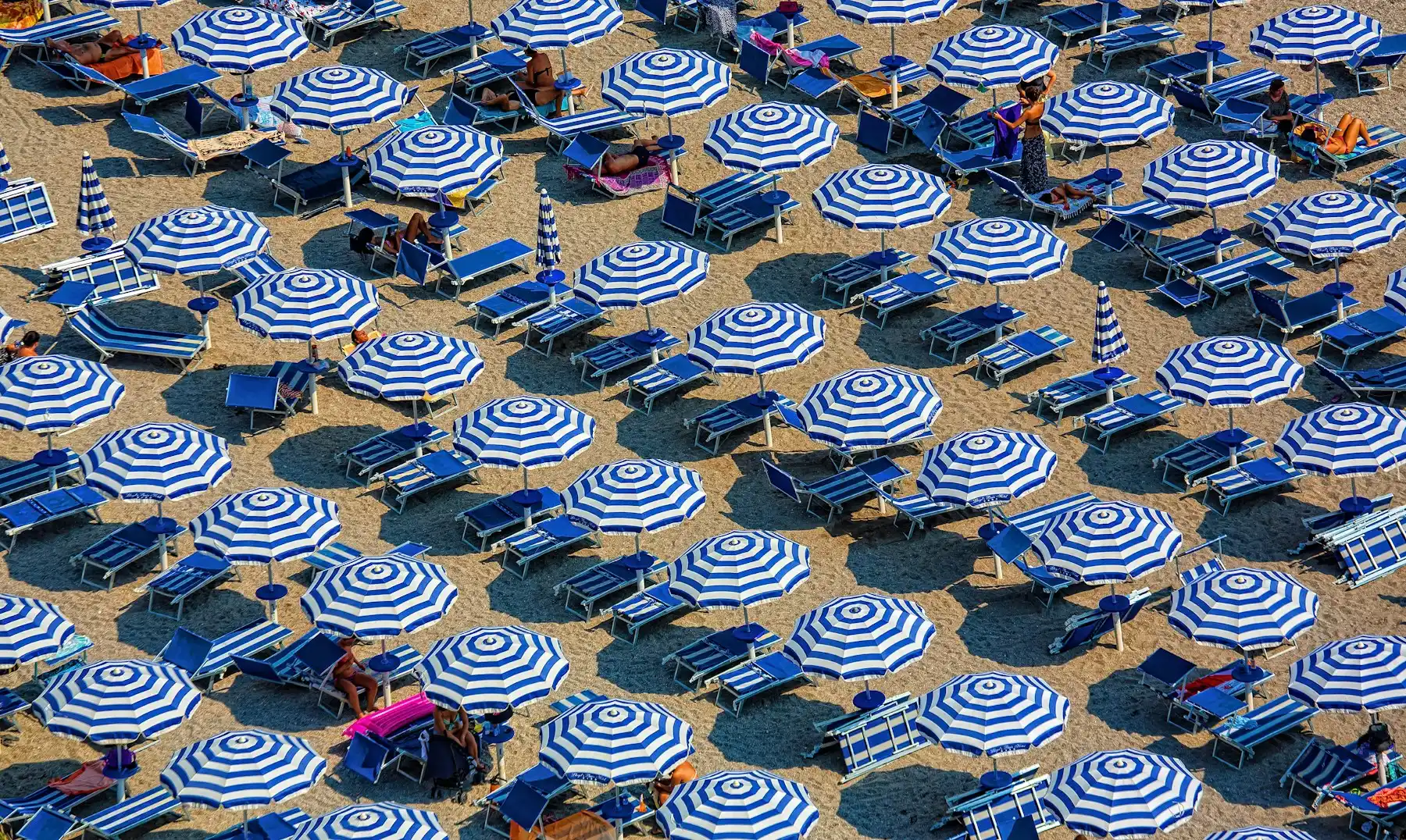 File ordinate di ombrelloni bianchi e blu su una spiaggia, viste dall'alto