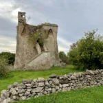La torre vista dal prato, oltre un muretto a secco
